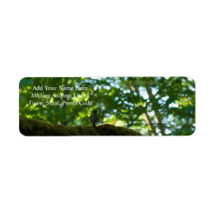 Dépassement de forêt