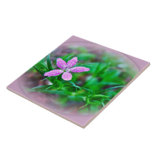 Deptford Pink Wildflower Tile
