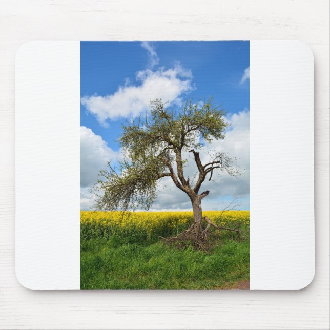 Der alte Baum Mouse Pad (Front)