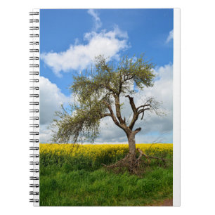 Der alte Baum Notebook