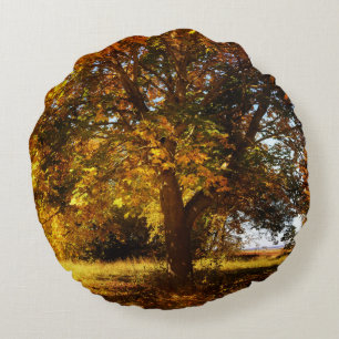 Der Baum im Herbst Round Pillow