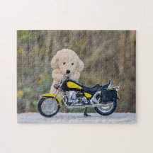 Der  Biker  - Hund    -