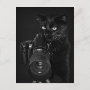 Der Fotograf  - Postkarte Postcard