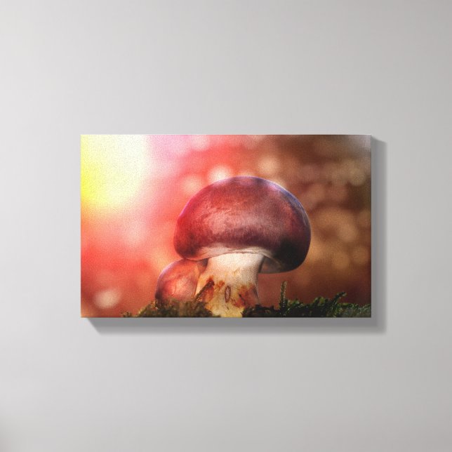 Der Pilz Canvas Print (Front)