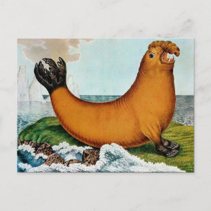 Der See-Elefant or The Walrus (1879) Postcard