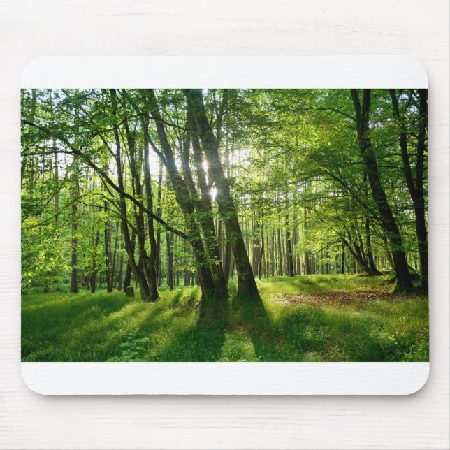 Der Wald im Frühling Mouse Pad (Front)