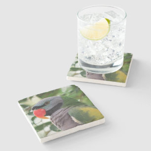 Derbyan Parakeet Stone Coaster