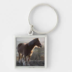 Derbyshire, England Keychain