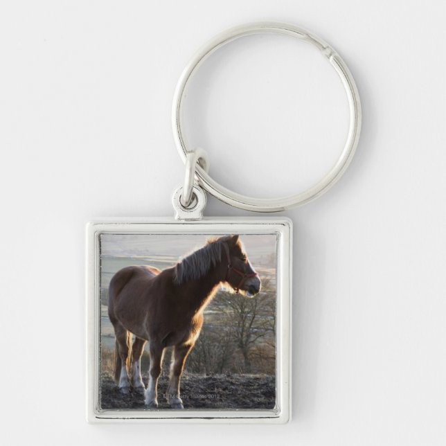 Derbyshire, England Keychain (Front)