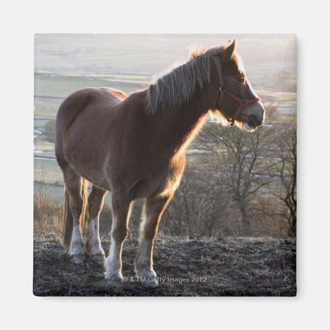 Derbyshire, England Magnet (Front)