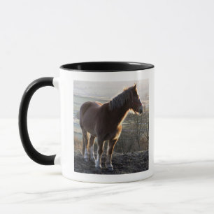 Derbyshire, England Mug