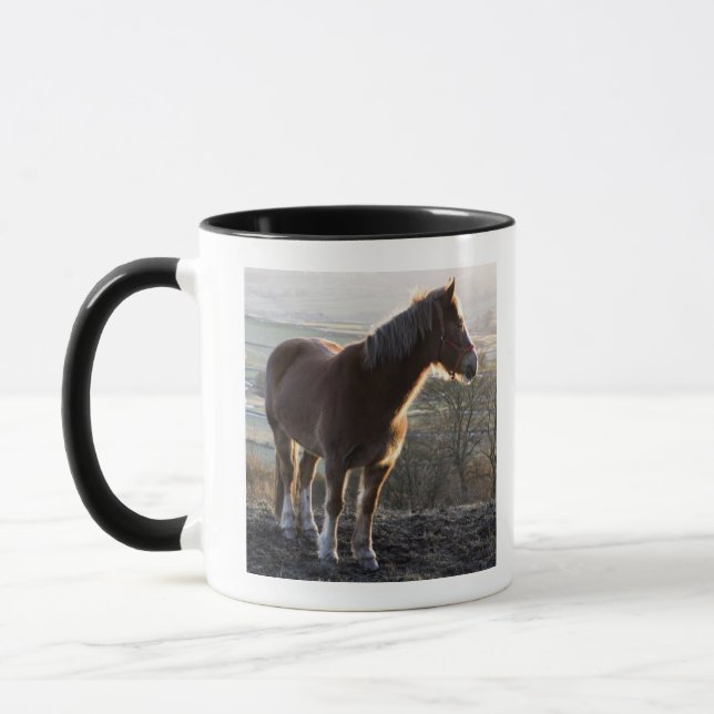Derbyshire, England Mug (Left)