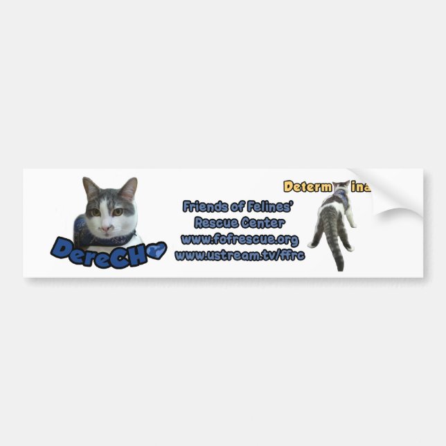 Derecho Bumper Sticker (Front)