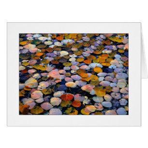 "Dérive silencieuse"