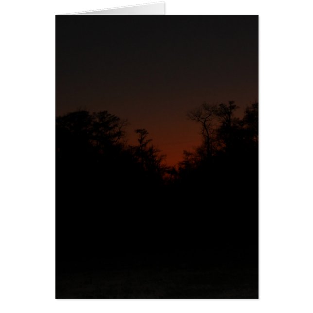 Dernier coucher de soleil (Devant)