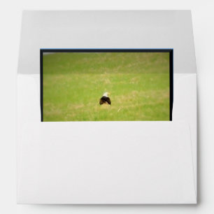 Derrière une enveloppe de carte de voeux d'aigle c