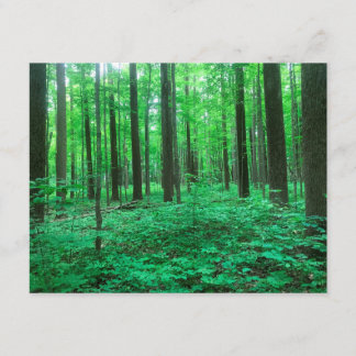 "Des arbres !" Carte de note