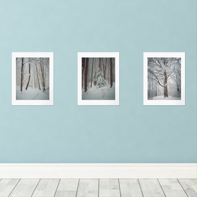 Des arbres couverts de neige dans la forêt brumeus (Parquet)
