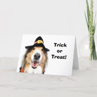 Des bonbons ou un sort ! Cartes de Halloween