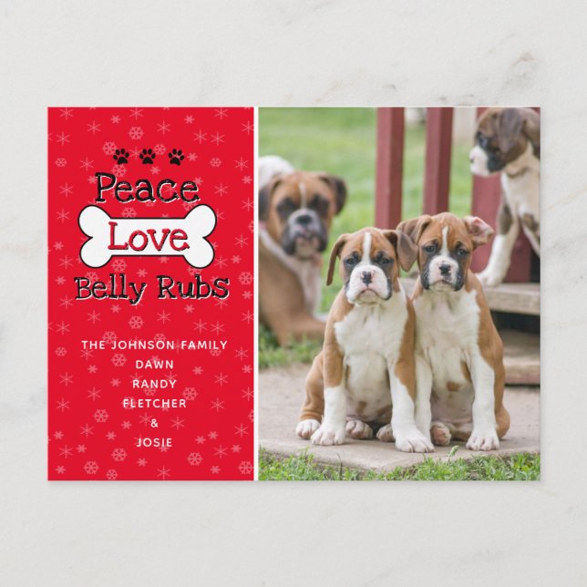 Des cartes de Noël de chien (Devant)