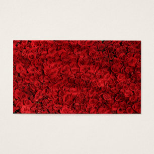 Des centaines de belles roses rouges