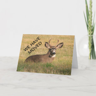Des cerfs communs nous avons déplacé la carte