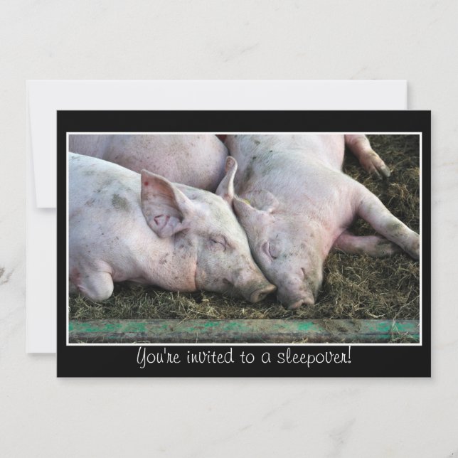 Des cochons qui dorment, une invitation à dormir (Devant)