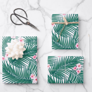 Des Feuilles verts de palmiers tropicaux aux fleur