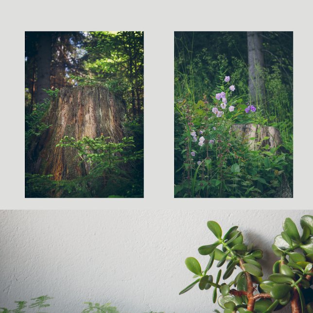 Des fleurs de Bellflowers et une souche d'arbre da (Créateur téléchargé)