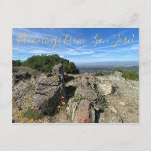Des fleurs de San Jose ! Carte postale