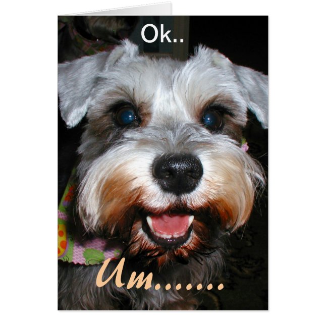 Des Millions De Baisers ! (Devant)