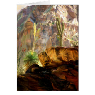 Des ombres de canyons