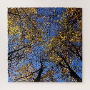 Des Puzzles De Nature Extrêmement Difficiles Pour 