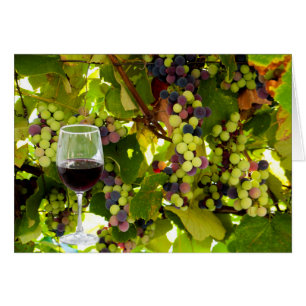 Des raisins pourpres poussent sur la vigne avec du