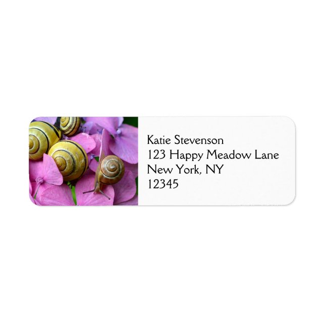Des snails de Pink Flowers (Devant)