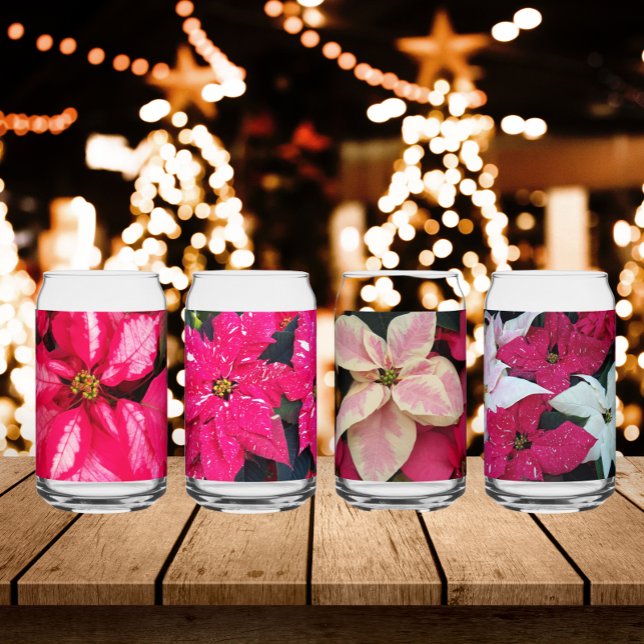 Des vacances colorées saisonnières Poinsettias (In Situ Holidays)