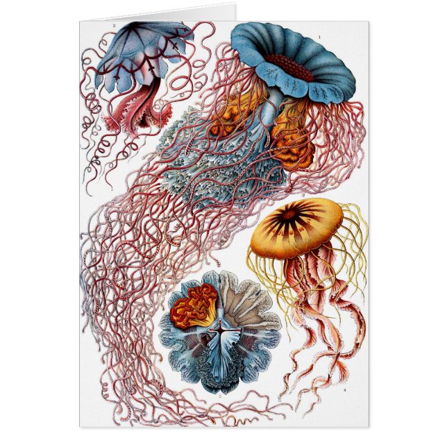 Désamorcer (Devant)