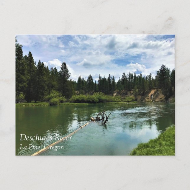 Deschutes River, Oregon Postcard (Front)