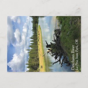 Deschutes River, Oregon Postcard