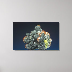 Descloizite on Calcite Canvas Print