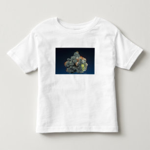 Descloizite on Calcite Toddler T-shirt