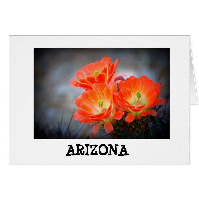 Desert ablaze Arizona (Front Horizontal)