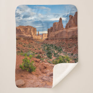 Desert   Arches National Park, Utah Sherpa Blanket