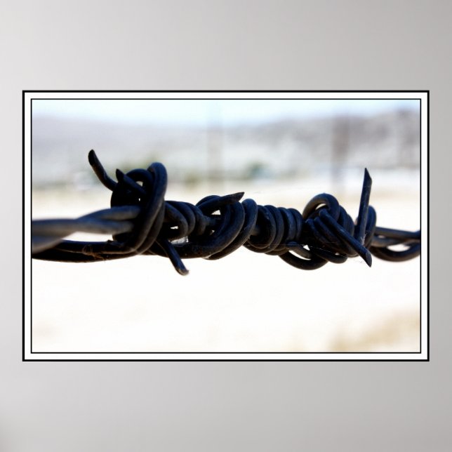 Desert Barbed Wire Poster (Front)