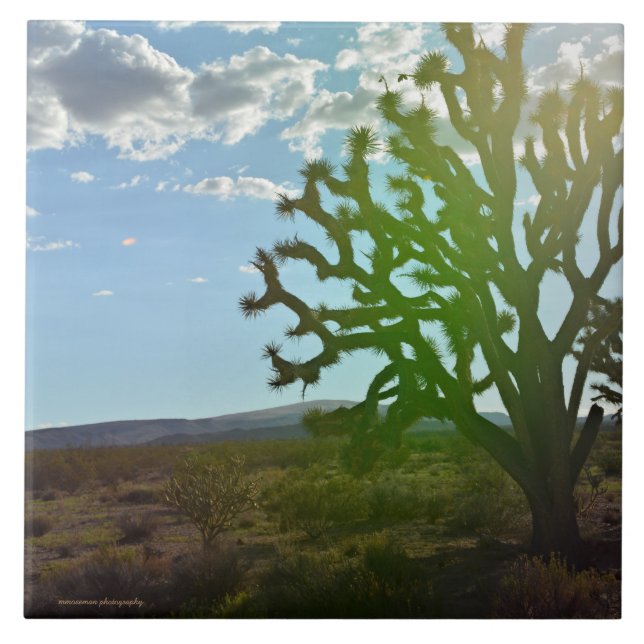 Desert Beauty Tile (Front)