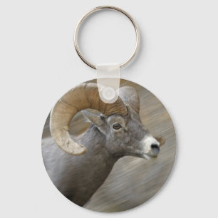 Desert Bighorn Ram Keychain