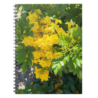 Desert Bloom Notebook