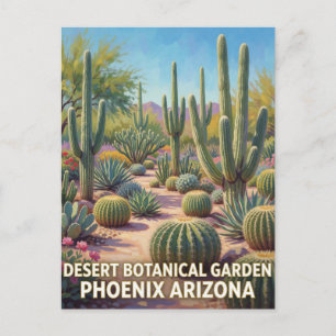 Desert Blooms And Sonoran Landscapes In Phoenix Postcard