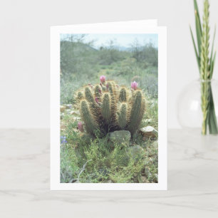 Desert Blooms Cactus Greeting Cards or Note Cards