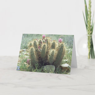 Desert Blooms Cactus Greeting Cards or Note Cards